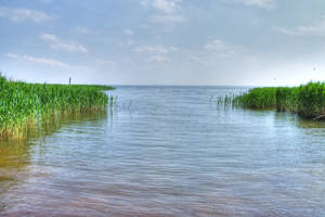 Insel Usedom - am Achterwasser